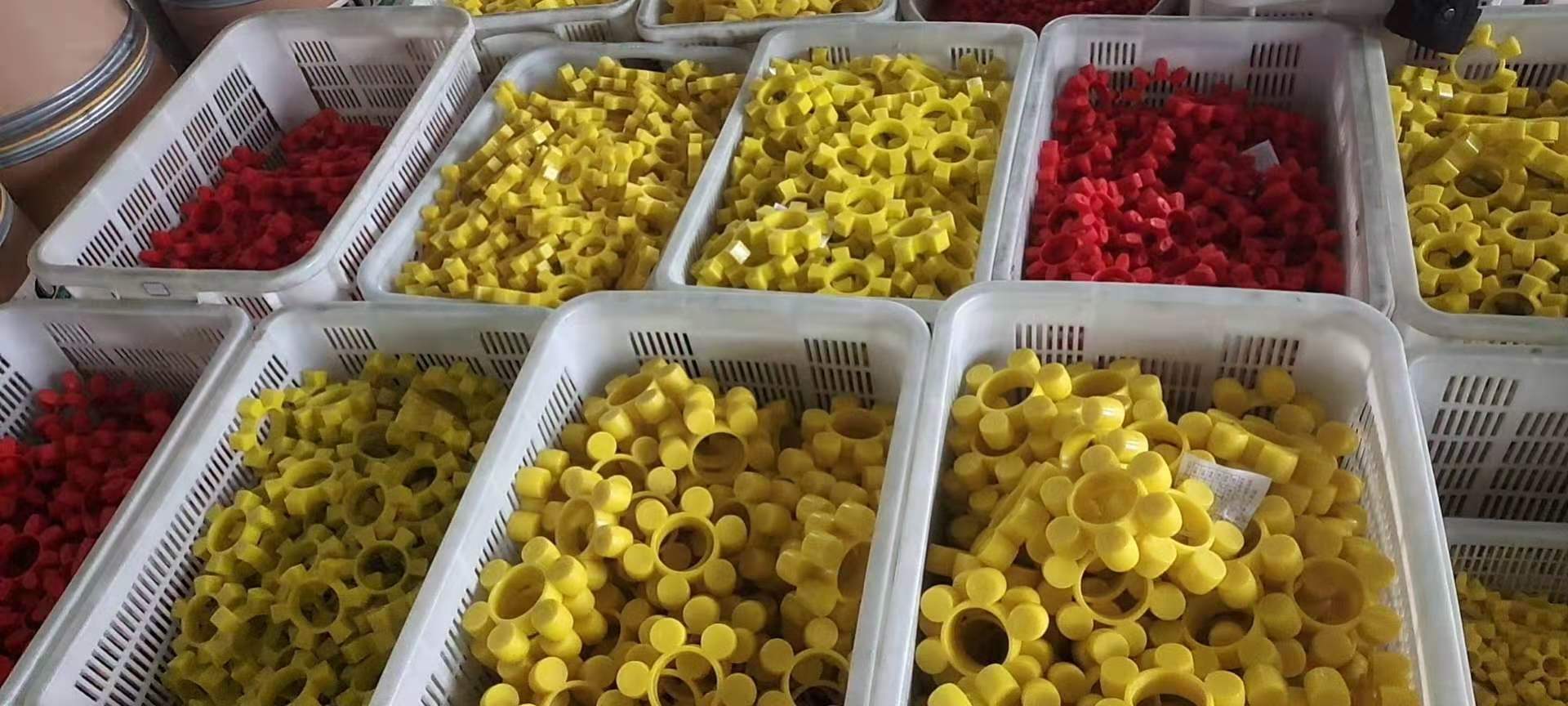 Germany TSCHAN®-S Coupling of Shaft Coupling 