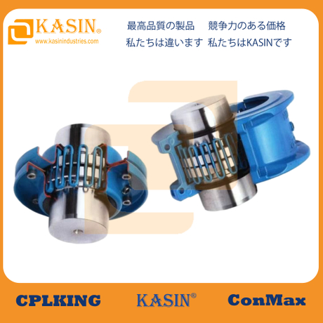 ECCERNUS EXPLORATIO Spring 3.JPG