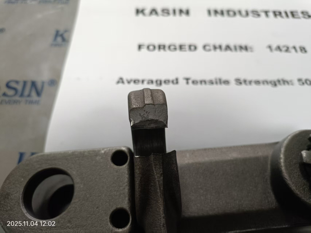 Drop Forged Scraper Chain of Conveyor Chain Roller Chains