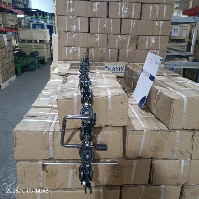 ETC 5200 Series Power & Free Overhead Conveyor System, Drop Forged Rivetless Chain Suspended Conveyor for Automotive Coating Line